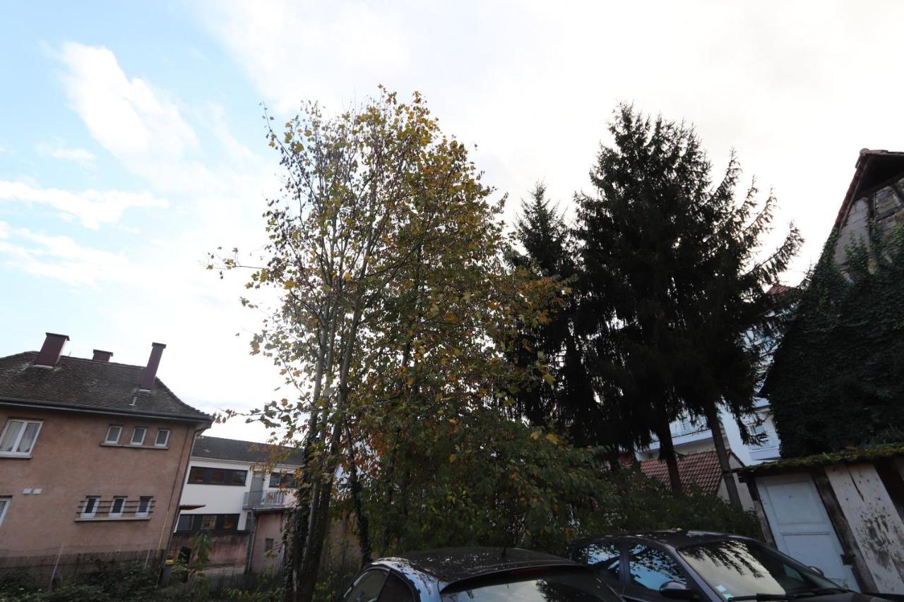 Homeday Cultivateur N°2 Appartement Type F3 آغينو المظهر الخارجي الصورة